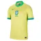 Camiseta Brasil Local 2024