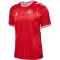 Camiseta Dinamarca Local Euro 2024