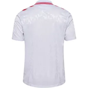 Camiseta Dinamarca Visitante Euro 2024