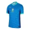 Camiseta Brasil Visitante 2024