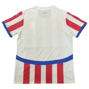 Camiseta Paraguay Local 2024