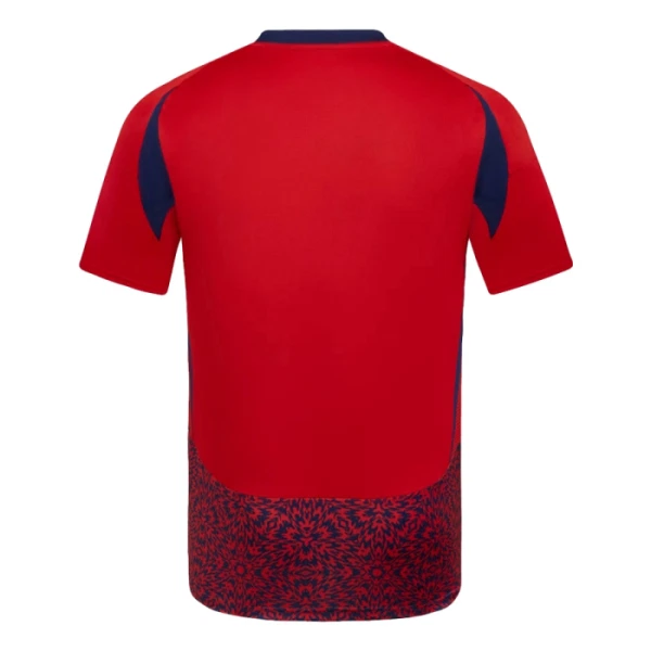 Camiseta Costa Rica Local 2024