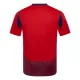 Camiseta Costa Rica Local 2024