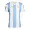 Camiseta Argentina Aniversario 2024