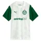Camiseta Palmeiras Visitante 2025/2026