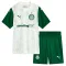 Conjunto Palmeiras Visitante 2025/2026 Niño