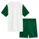 Conjunto Palmeiras Visitante 2025/2026 Niño