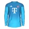 Camiseta FC Bayern Múnich Portero 2025/2026 Azul Manga Larga