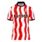 Camiseta Stoke City Local 2025/2026