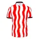 Camiseta Stoke City Local 2025/2026