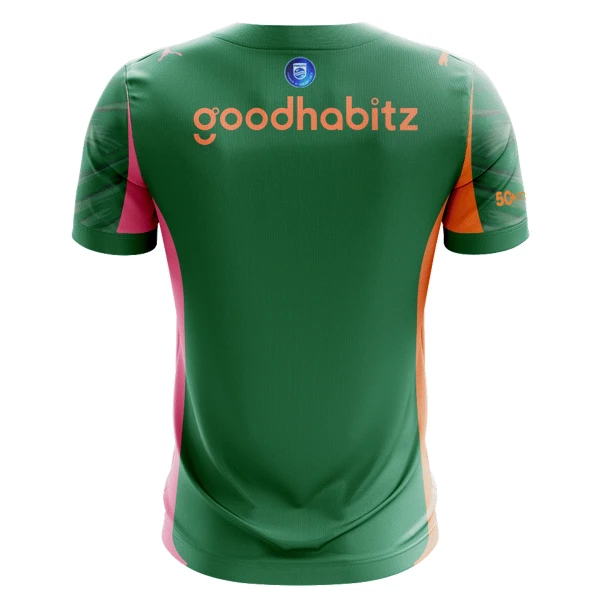 Camiseta PSV Eindhoven Portero 2025/2026 Verde