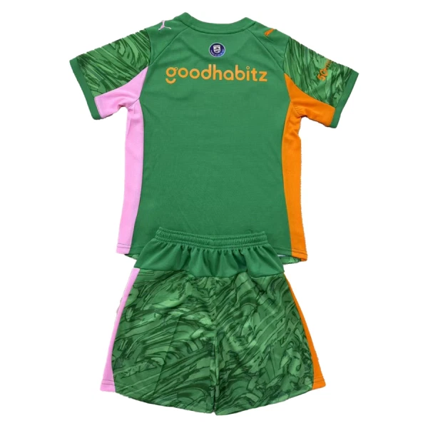 Conjunto PSV Eindhoven Portero 2025/2026 Niño Verde