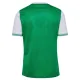 Camiseta AS Saint-Étienne Local 2025/2026