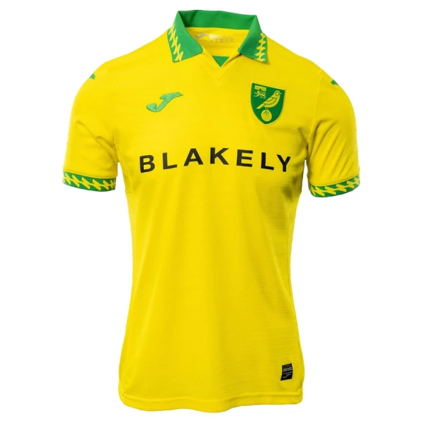 Camiseta Norwich City Local 2025/2026