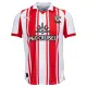 Camiseta Southampton Local 2025/2026