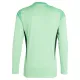 Camiseta Ajax Portero 2025/2026 Verde Manga Larga
