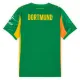 Camiseta Borussia Dortmund Portero 2025/2026 Verde
