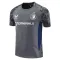 Camiseta de Entrenamiento Feyenoord Rotterdam 2025/2026 Gris