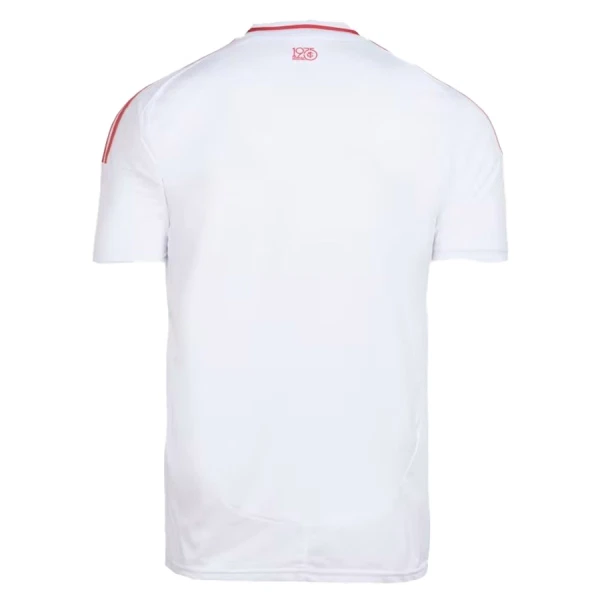 Camiseta Internacional Visitante 2025/2026