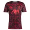 Camiseta Liverpool Pre-Match 2025/2026