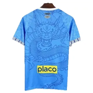 Camiseta Santos FC 2025/2026 Dragón Azul
