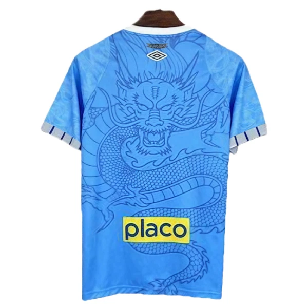 Camiseta Santos FC 2025/2026 Dragón Azul
