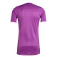 Camiseta Aston Villa Portero 2025/2026 Morado