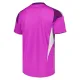 Camiseta Leeds United Portero 2025/2026 Morado