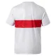 Camiseta VfB Stuttgart Aniversario 2025/2026