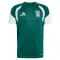 Camiseta de Entrenamiento Italia Mundial 2026 Verde