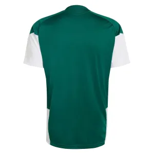 Camiseta de Entrenamiento Italia Mundial 2026 Verde