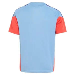 Camiseta de Entrenamiento Japón Mundial 2026 Azul