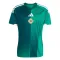 Camiseta Irlanda del Norte Local Mundial 2026