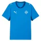 Camiseta Islandia Local Mundial 2026