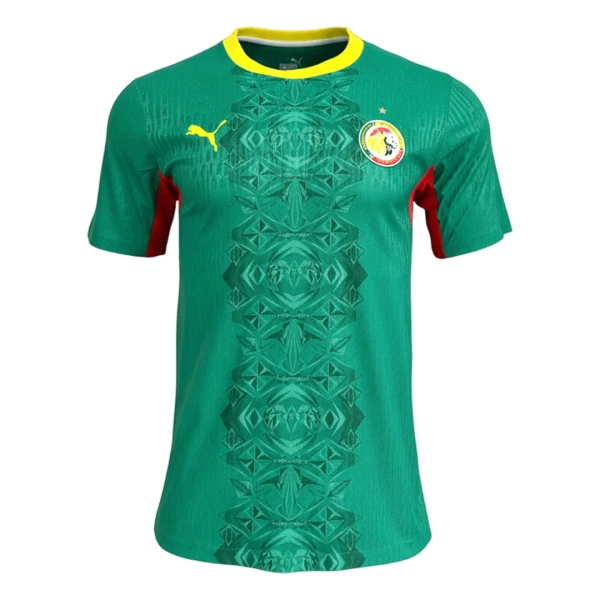 Camiseta Senegal Visitante Mundial 2026