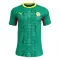 Camiseta Senegal Visitante Mundial 2026