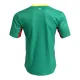 Camiseta Senegal Visitante Mundial 2026