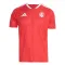 Camiseta Internacional Local 2026/2027