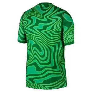 Camiseta Brasil Local Portero Mundial 2026 Verde