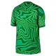 Camiseta Brasil Local Portero Mundial 2026 Verde