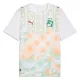 Camiseta Costa de Marfil Visitante Mundial 2026
