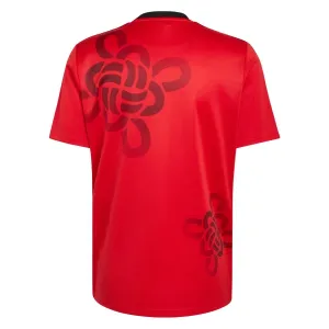 Camiseta Manchester United Cultural Story 2025/2026 Edición Especial