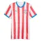 Camiseta Paraguay Local Mundial 2026
