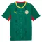 Camiseta Senegal Visitante Mundial 2026