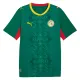 Camiseta Senegal Visitante Mundial 2026