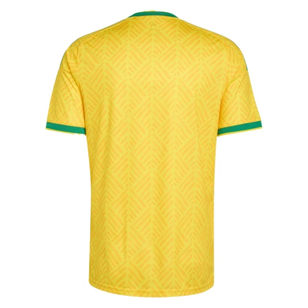 Camiseta Sudáfrica Local Mundial 2026