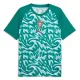 Camiseta Portugal Pre-Match Mundial 2026 Verde