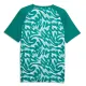 Camiseta Portugal Pre-Match Mundial 2026 Verde