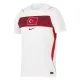 Camiseta Turquía Visitante Mundial 2026