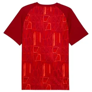 Camiseta Ghana Pre-Match Mundial 2026